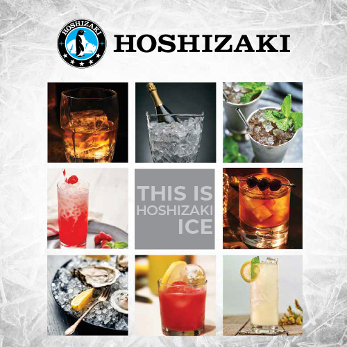 Hoshizaki Ice Catalog